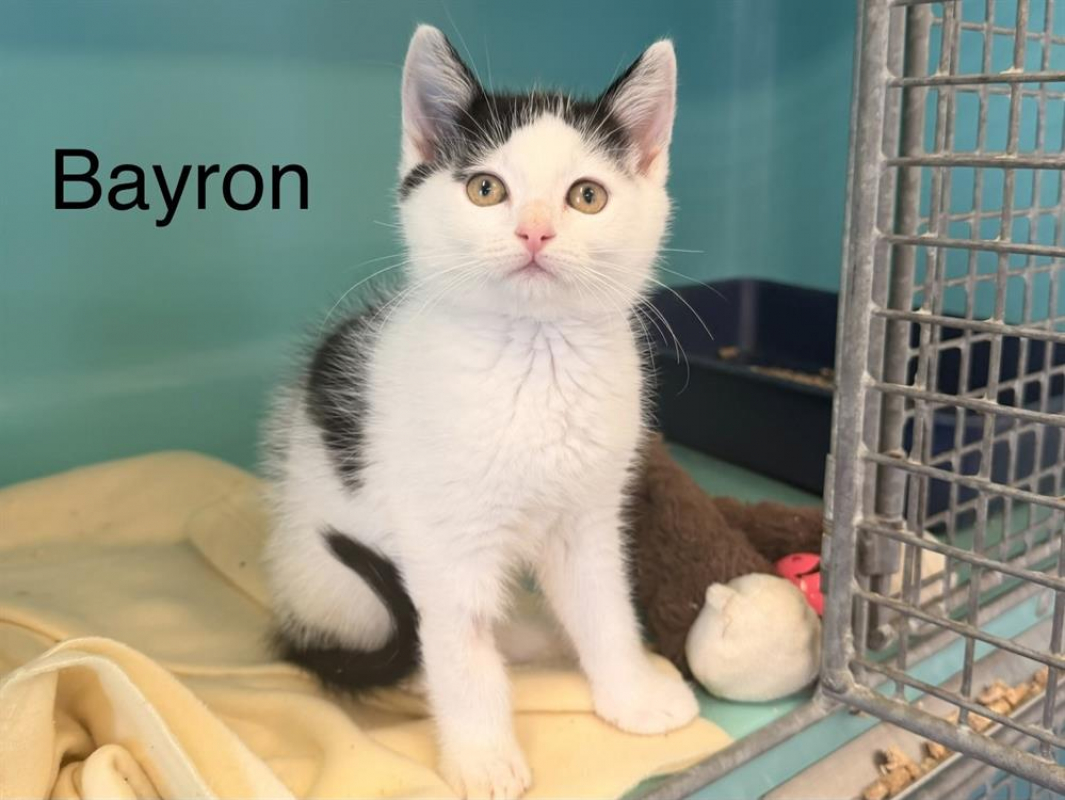 Photo de Bayron