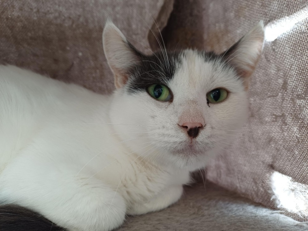 Photo #1 de Celeste ct