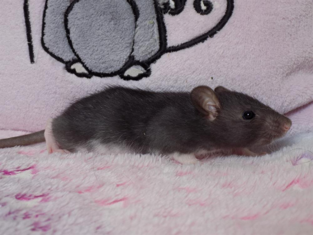 Photo #2 de Abscisse