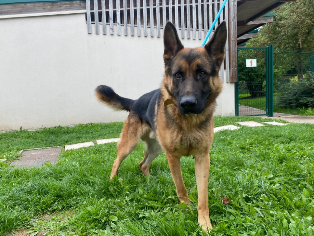 Photo #1 de Erwan paa23029