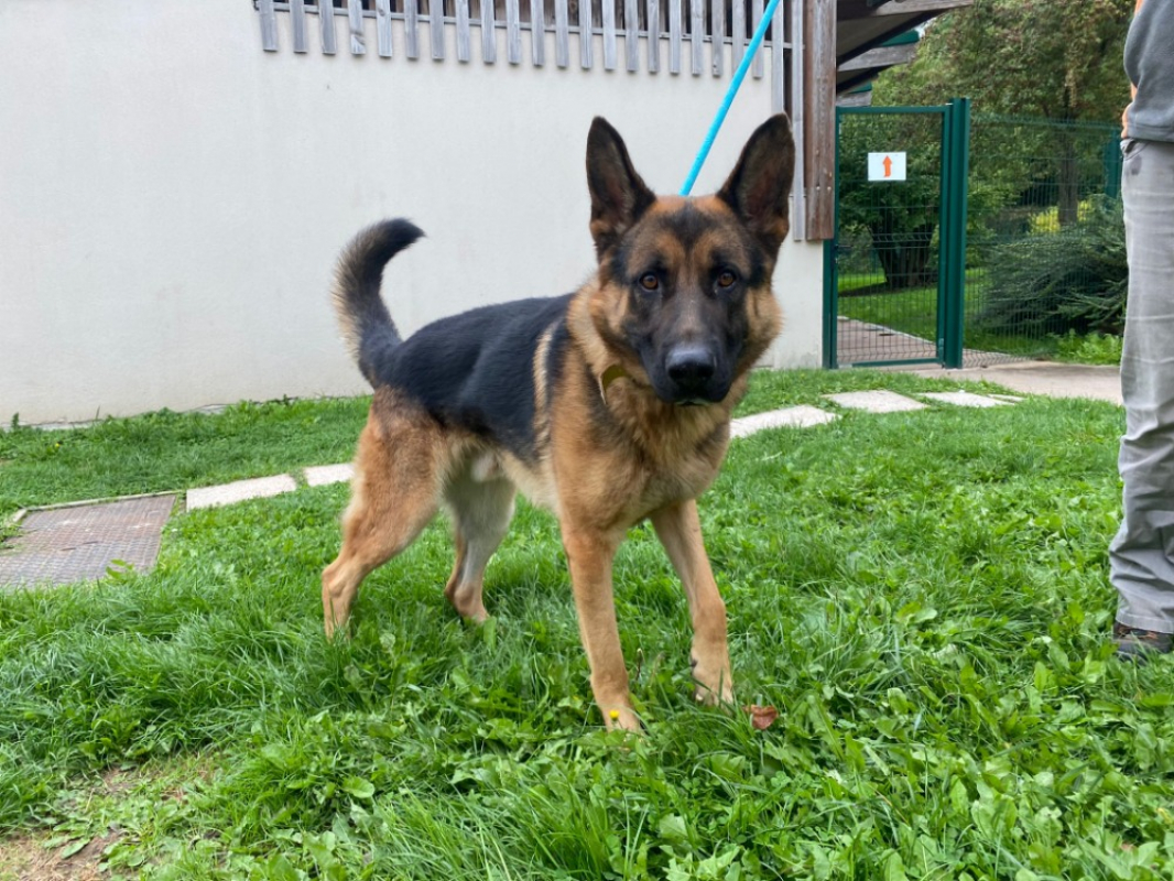 Photo #2 de Erwan paa23029