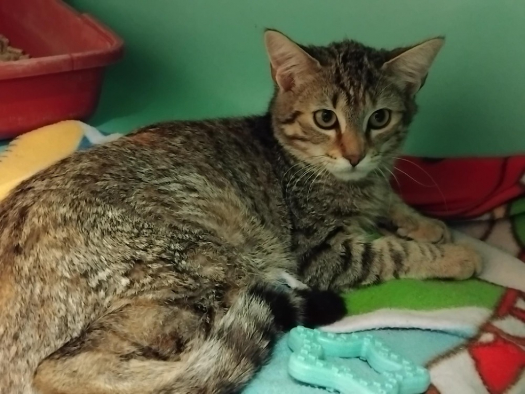 Photo de Gina pab27997