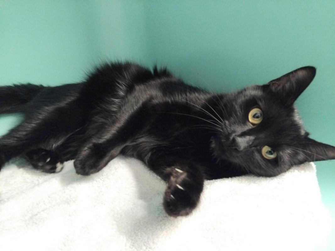 Photo #1 de Etna pab28005