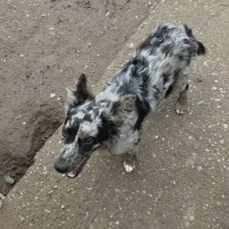 Photo #3 de JANGO