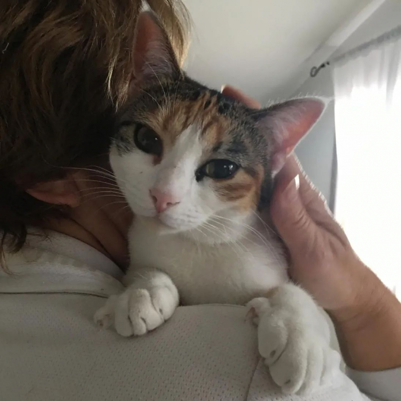 Photo #3 de POUPETTE