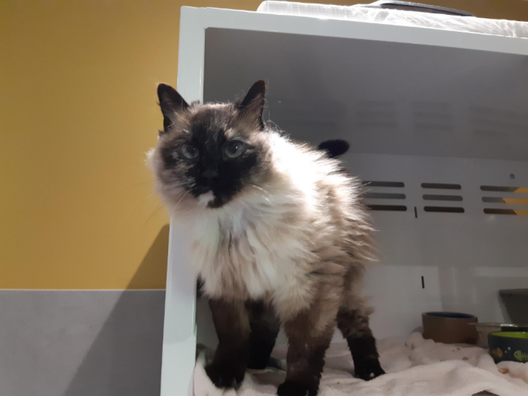 Photo #1 de Minette