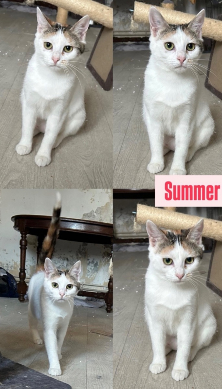 Photo #1 de Summer & Spring