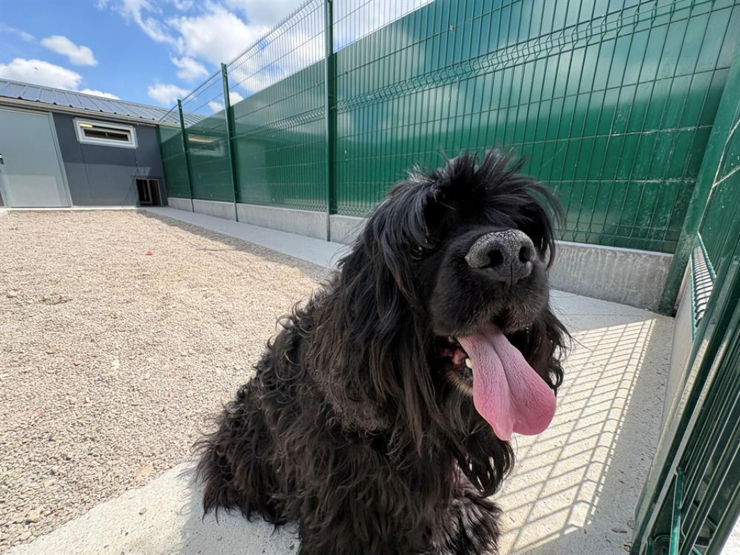 Photo de Lucky
