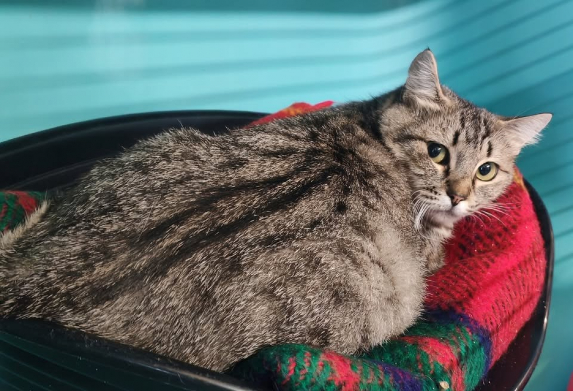 Photo de Plumapapote