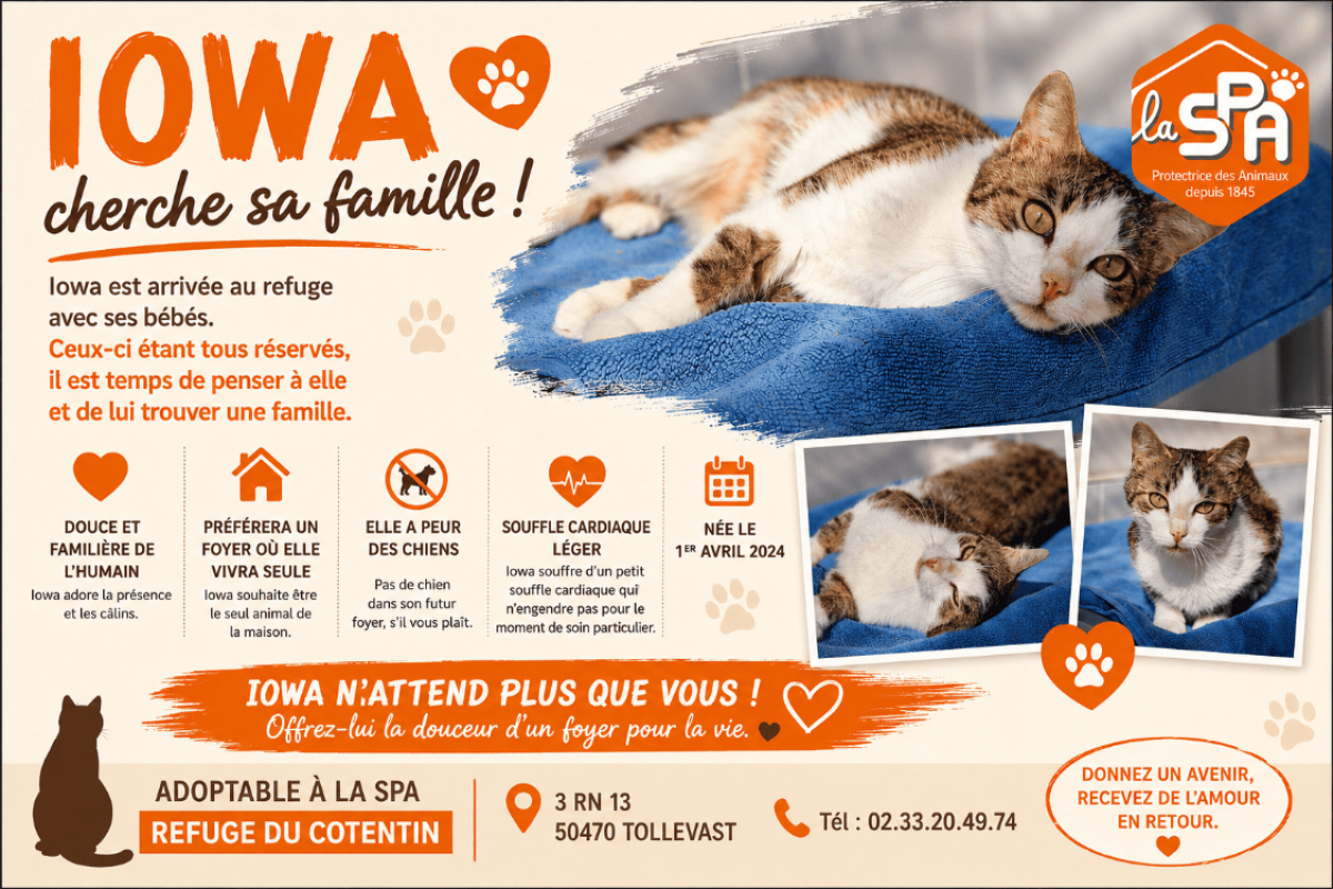 Photo de Iowa