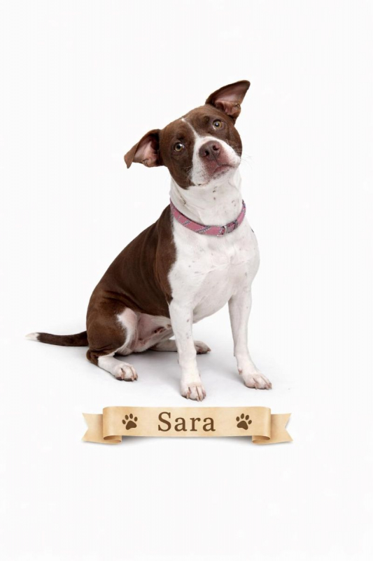 Photo #1 de Sara