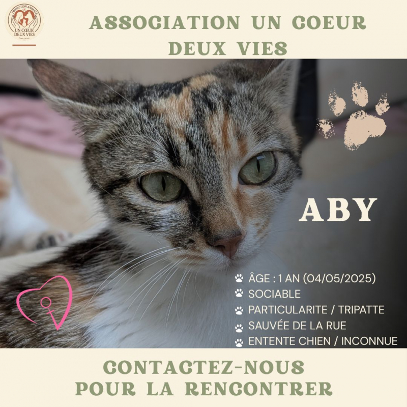 Photo #1 de ABY