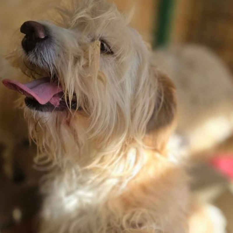 Photo #9 de LUCKY