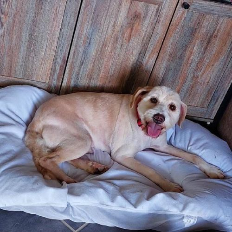 Photo #6 de LUCKY