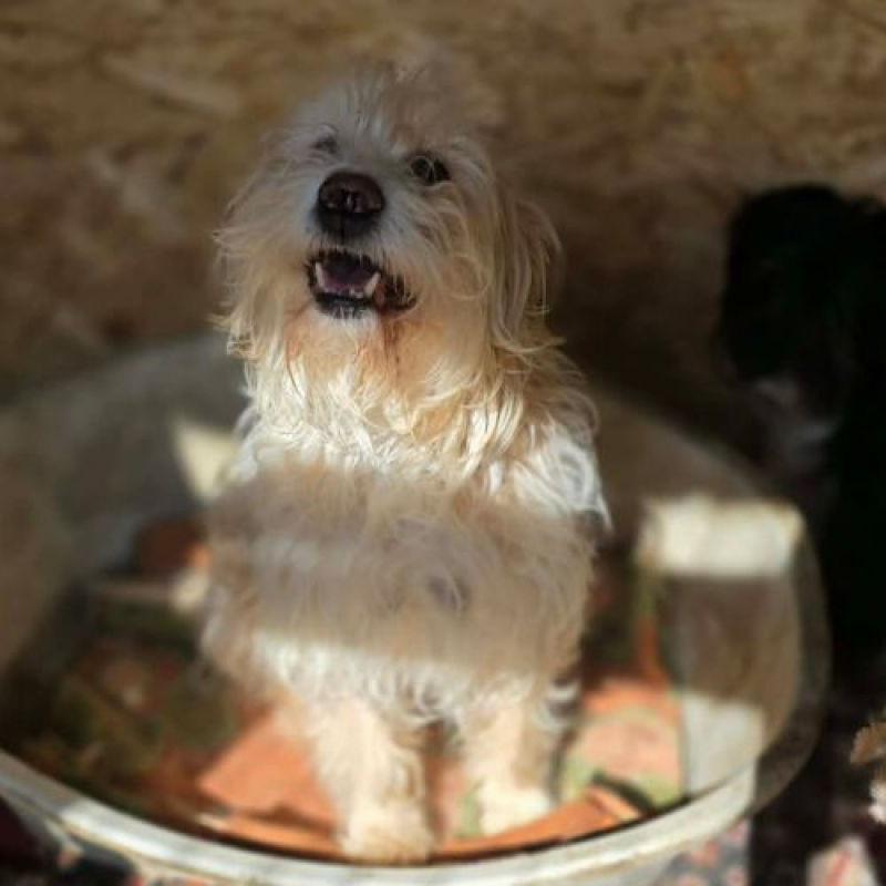 Photo #3 de LUCKY