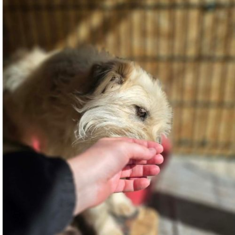 Photo #2 de LUCKY