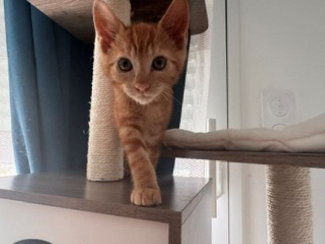 Photo de Kael