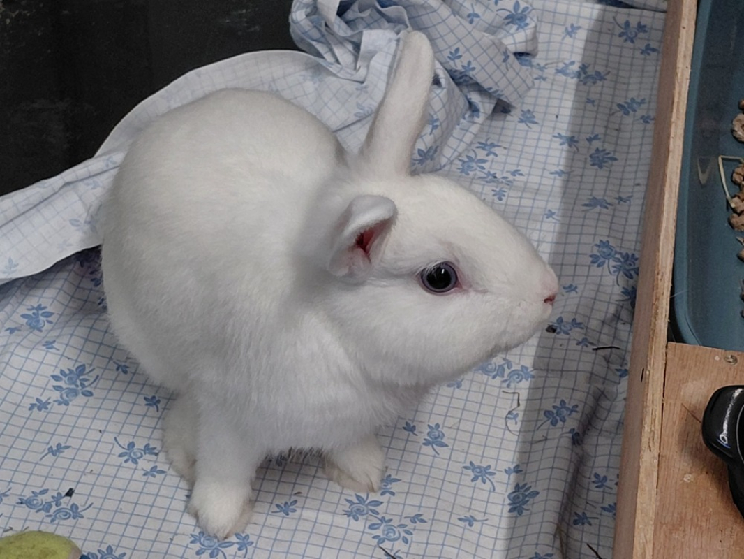 Photo #1 de Auteuil