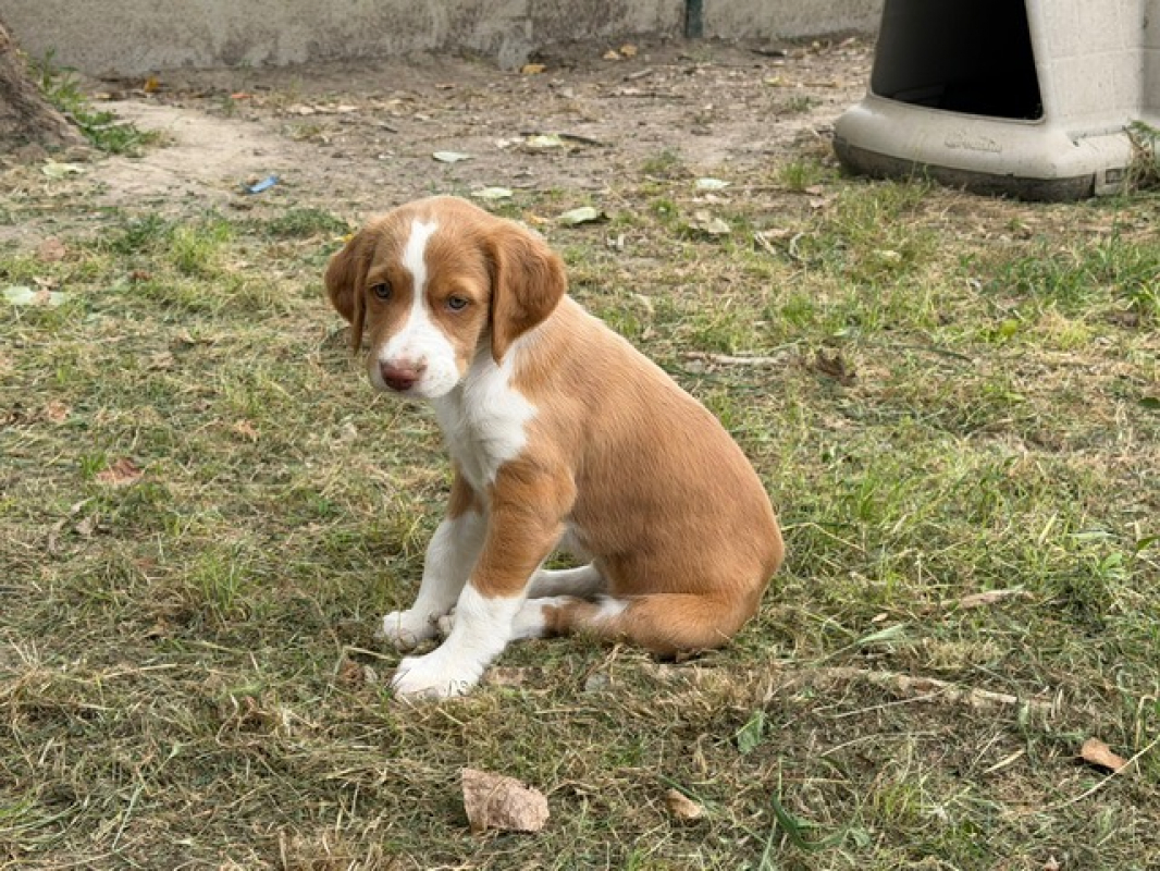 Photo #2 de Olori
