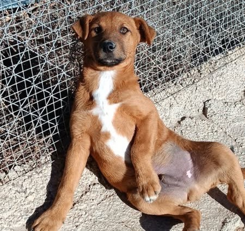 Photo de Rafa