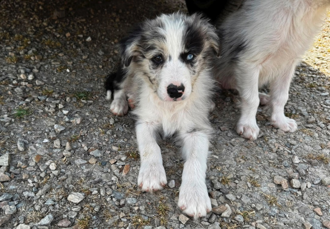Photo de Boblé