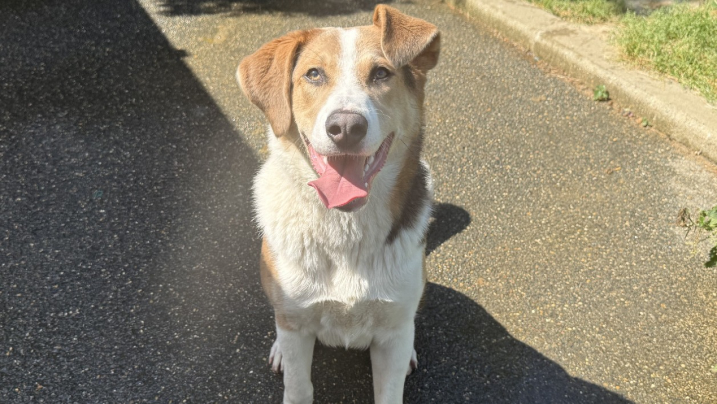 Photo de Shaker