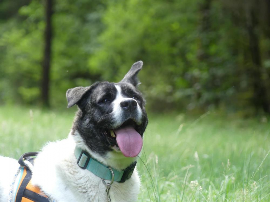 Photo #3 de Lylie belle