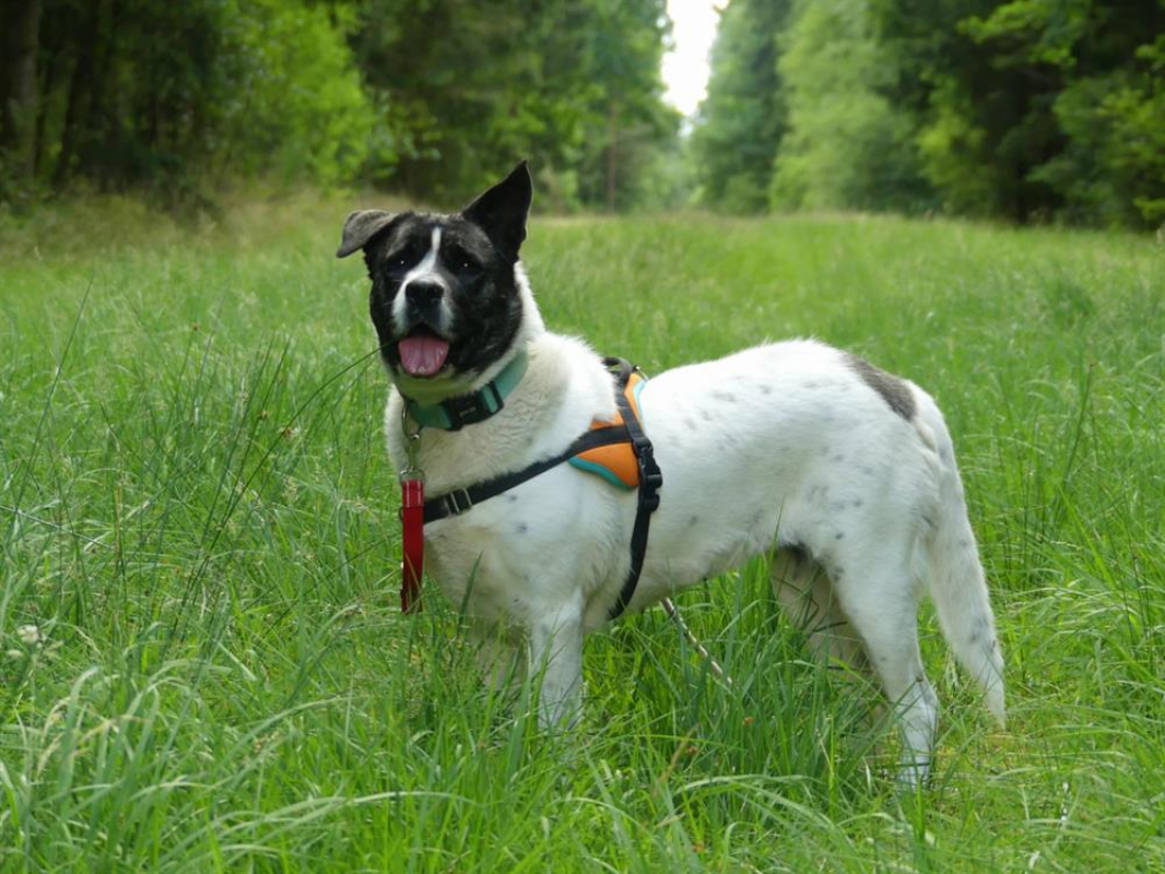 Photo #4 de Lylie belle