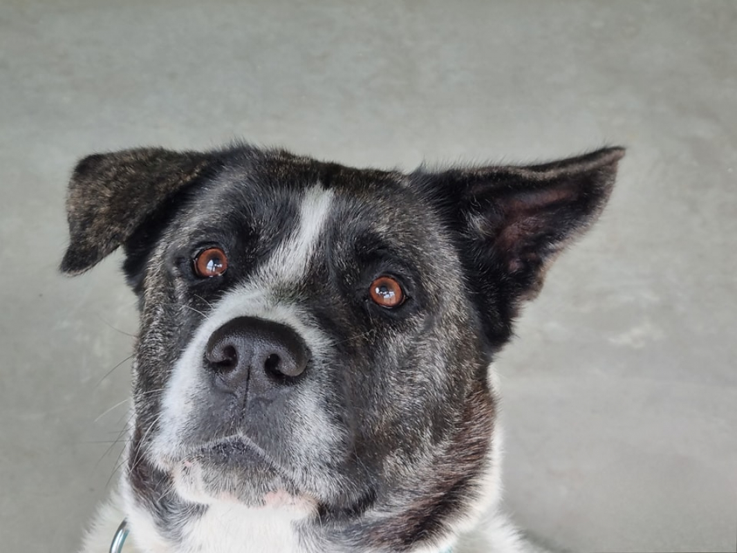 Photo #3 de Lylie belle