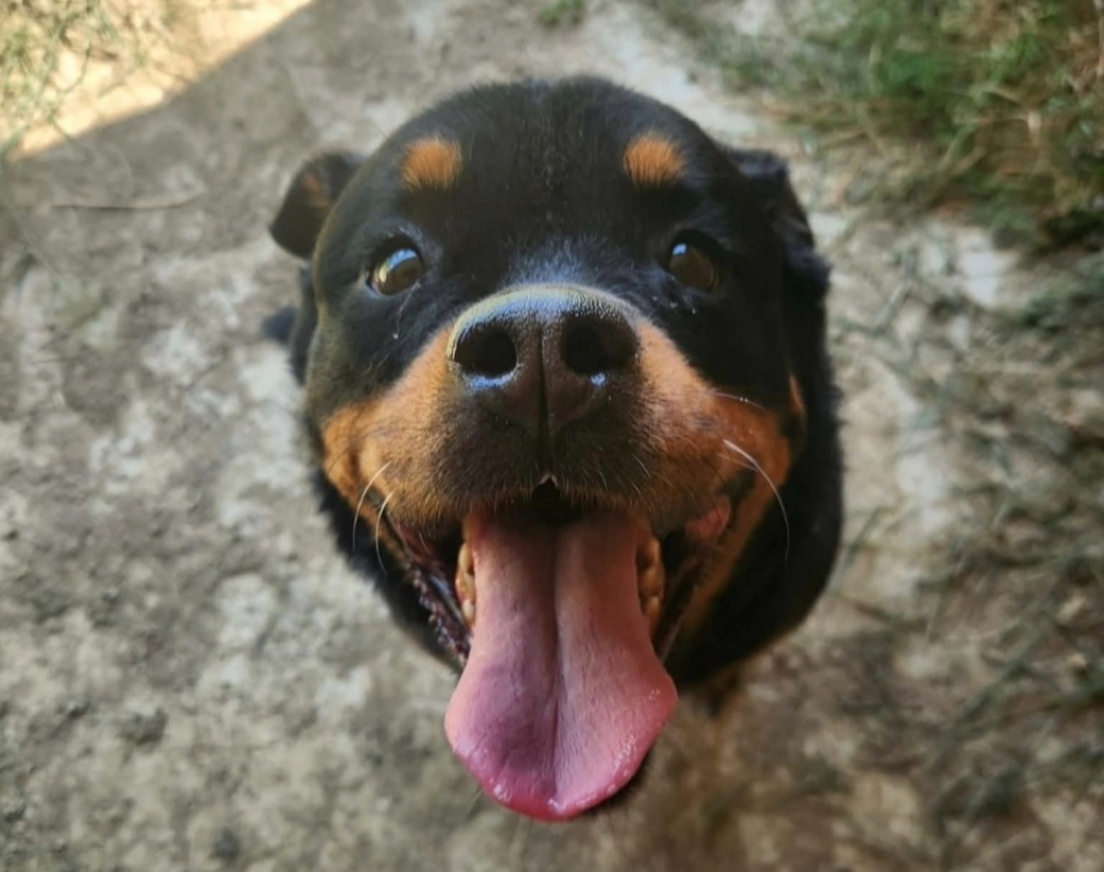 Photo de Kiara