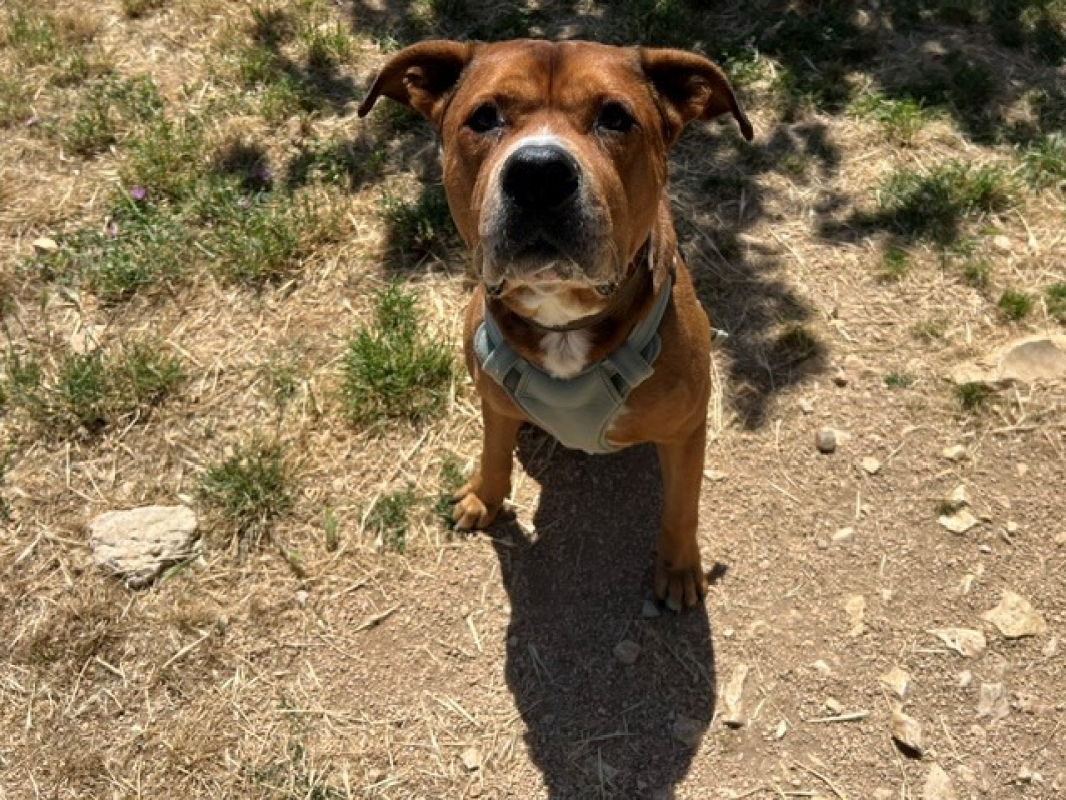 Photo de Max