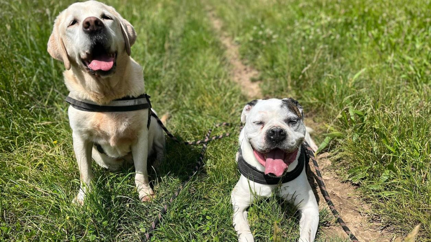 Photo #5 de RamsÈs oaa 19780