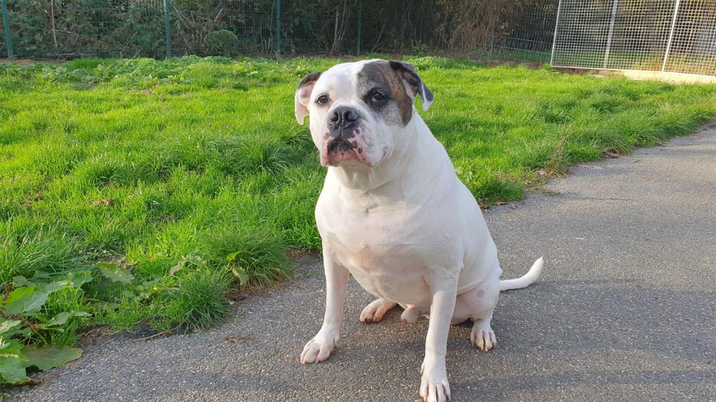 Photo #10 de RamsÈs oaa