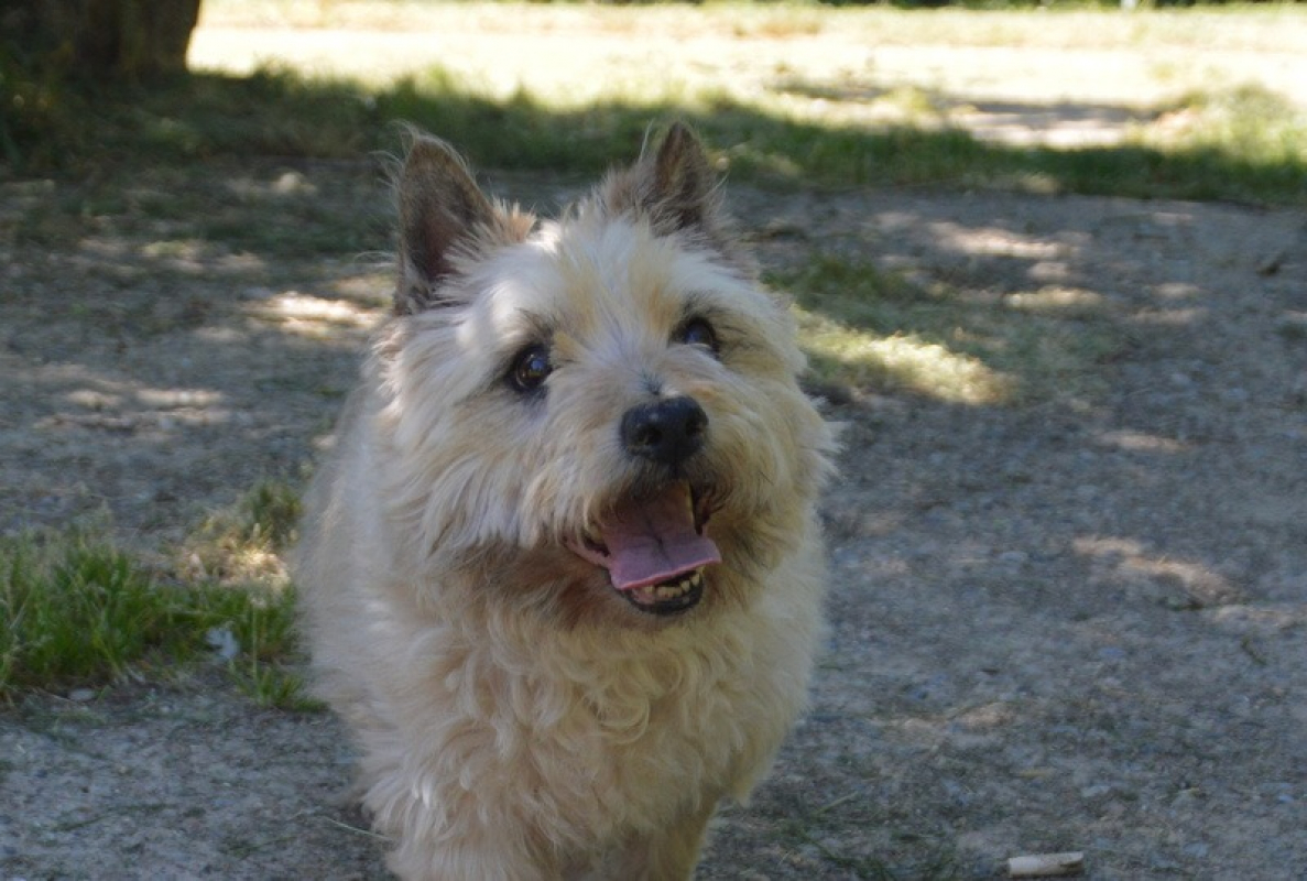Photo #1 de Hody
