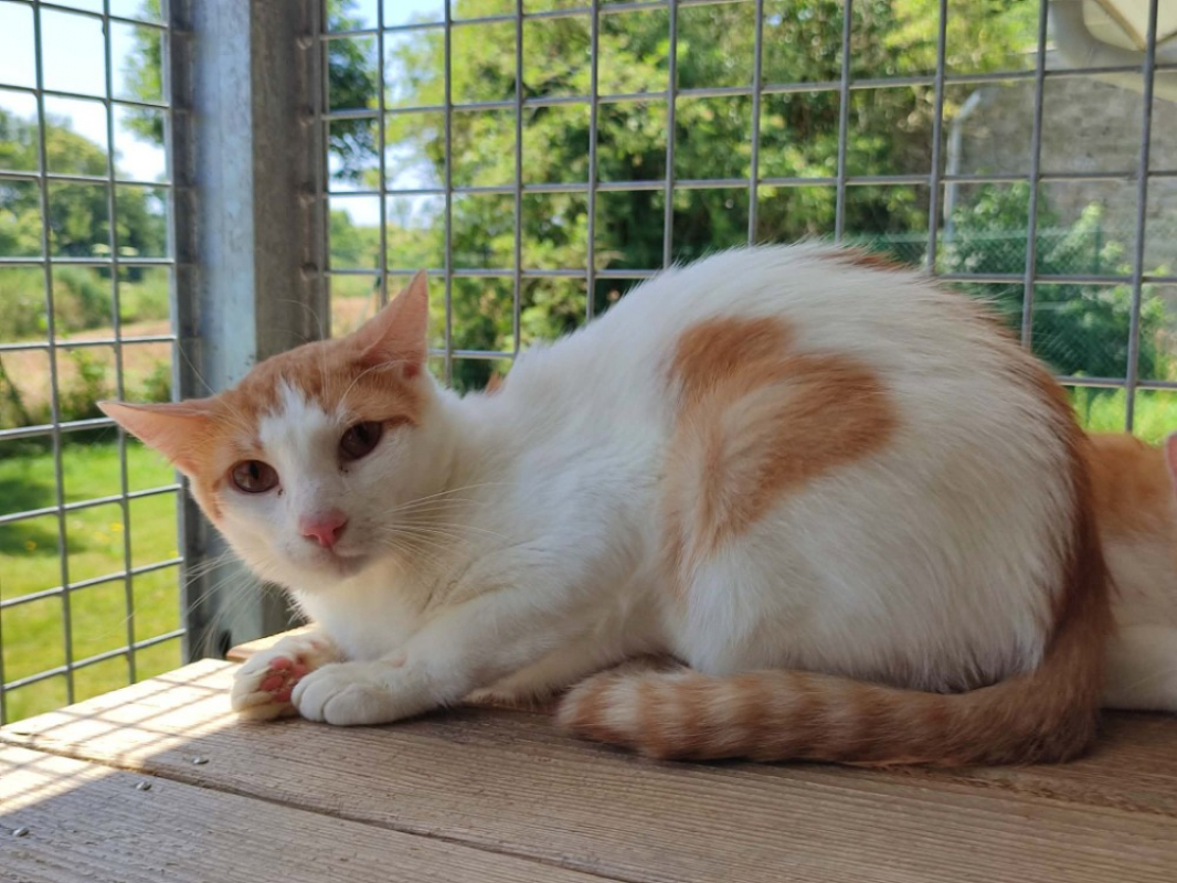 Photo de Chavroux