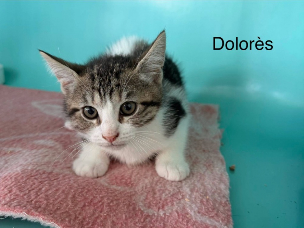 Photo de Dolores
