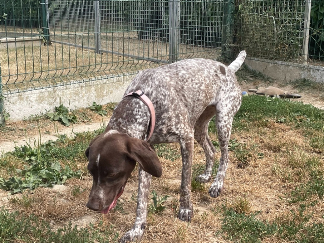 Photo #4 de Chouquette