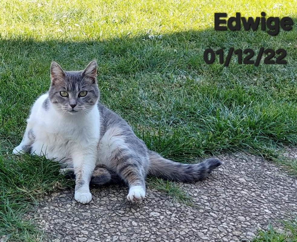 Photo #2 de Edwige