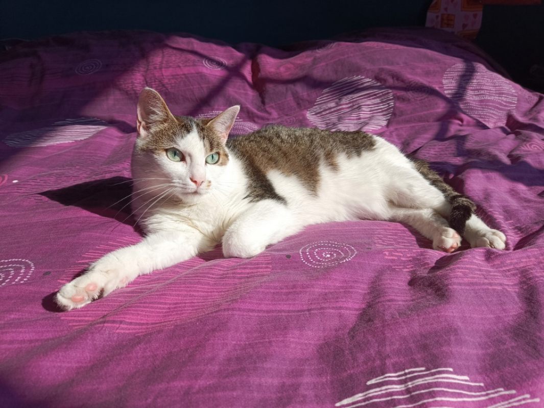 Photo #1 de Romy