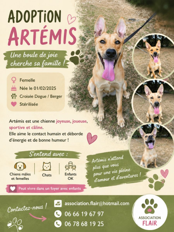 Photo de Artémis