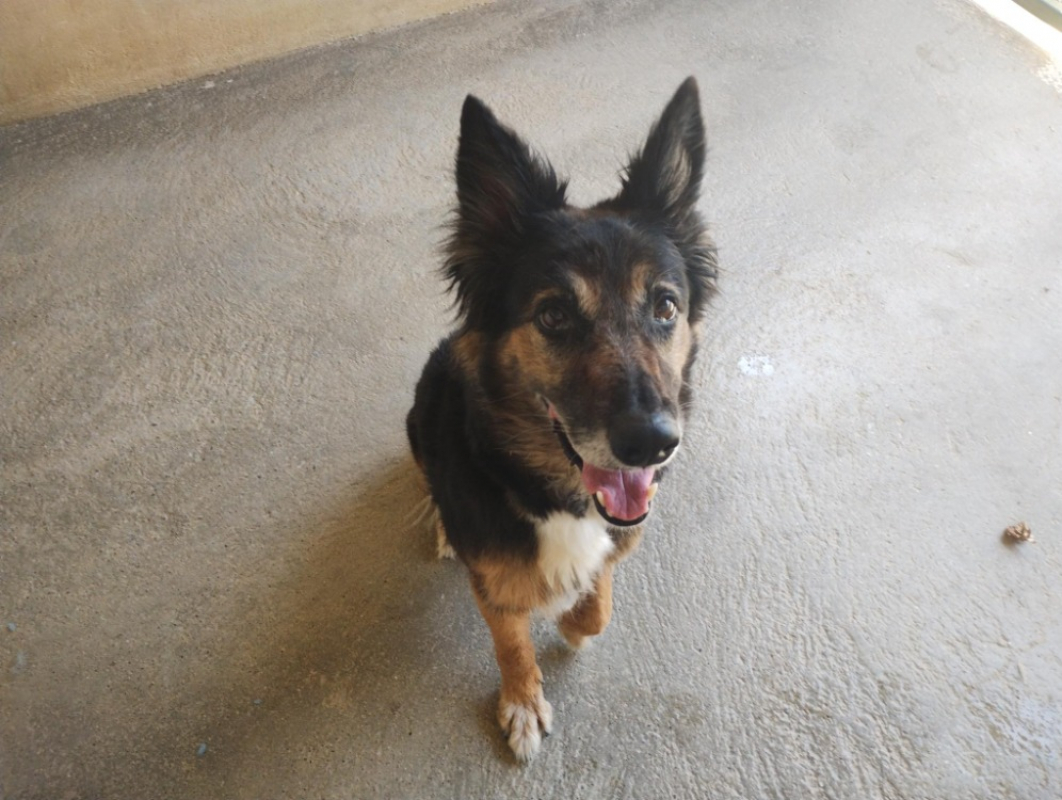 Photo de Xena