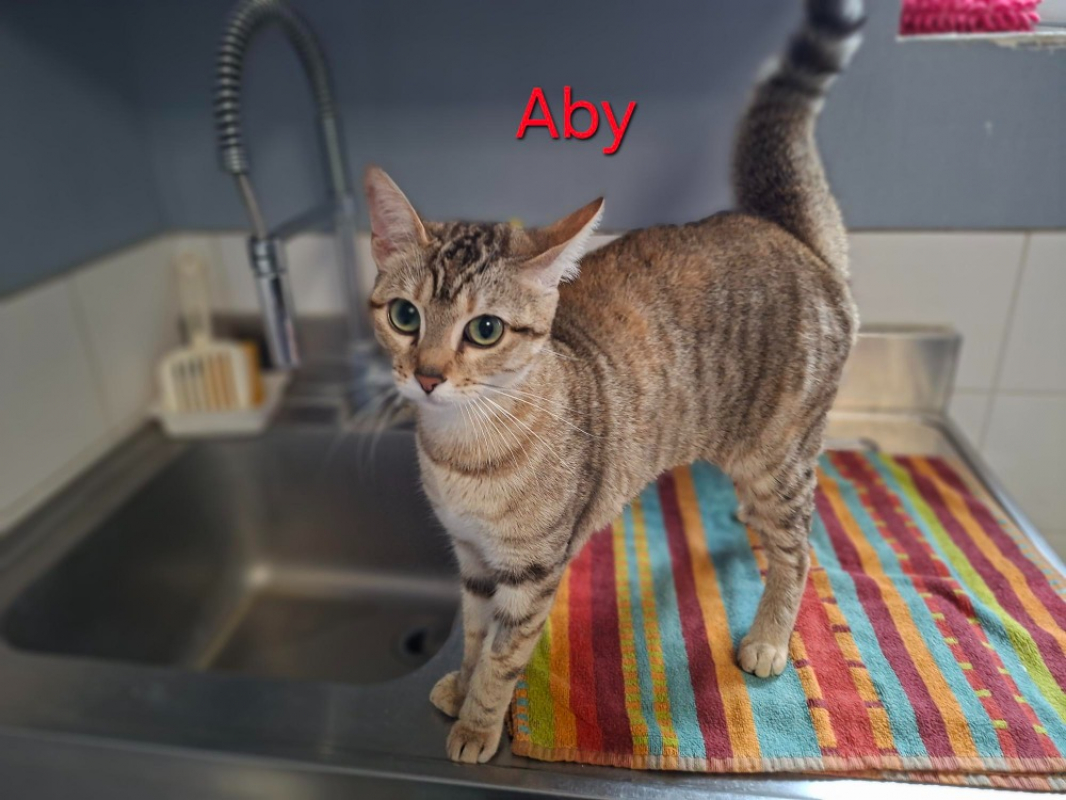Photo de Aby