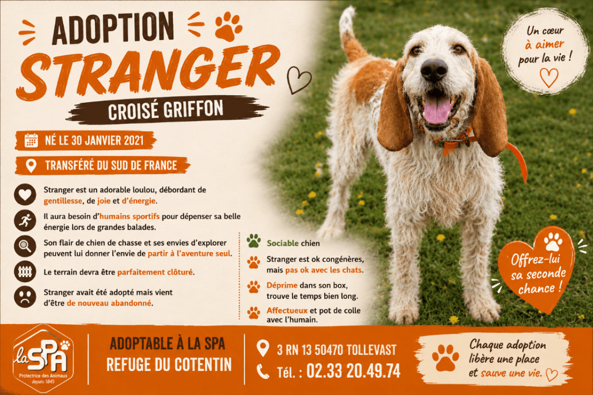 Photo de Stranger