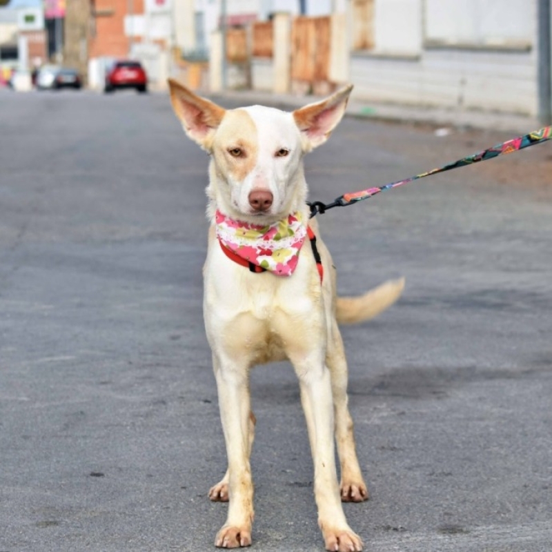 Photo de Tulsa