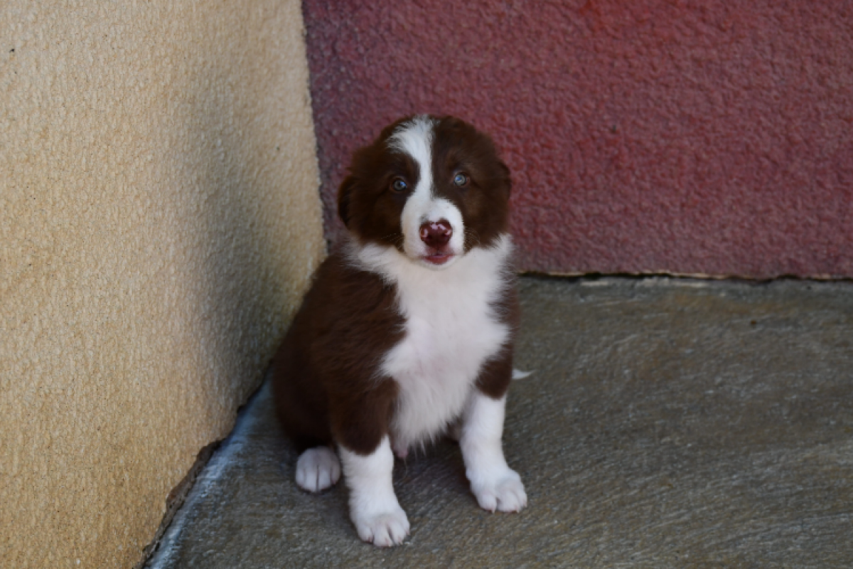 Photo #2 de Yoru