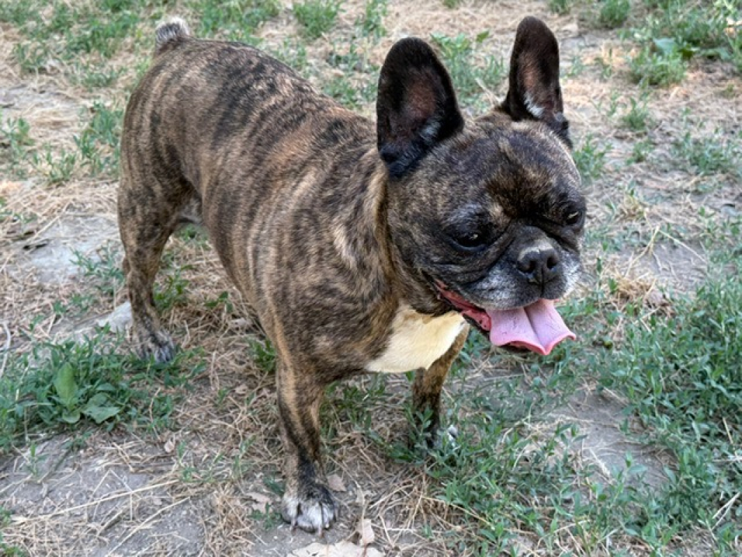 Photo #2 de Nala