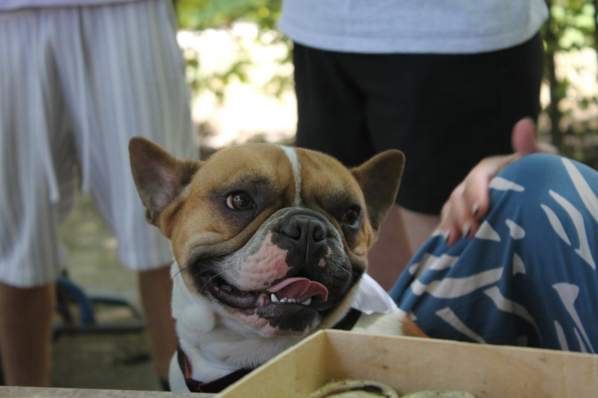 Photo #2 de Jasper