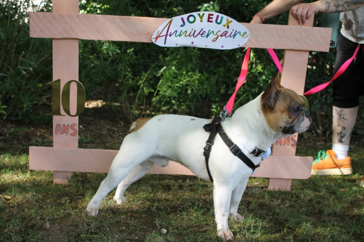 Photo #3 de Jasper