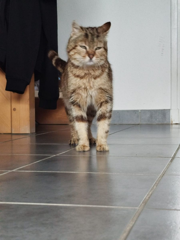 Photo #2 de Bijou