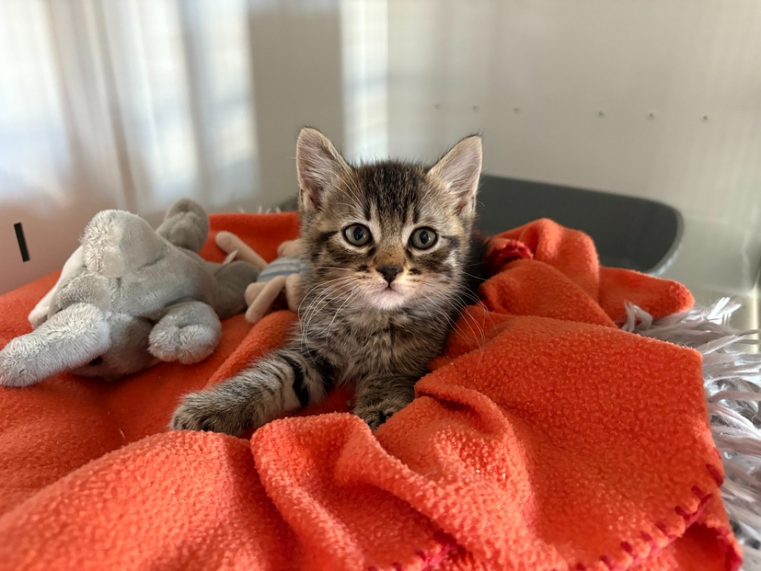 Photo de Néo